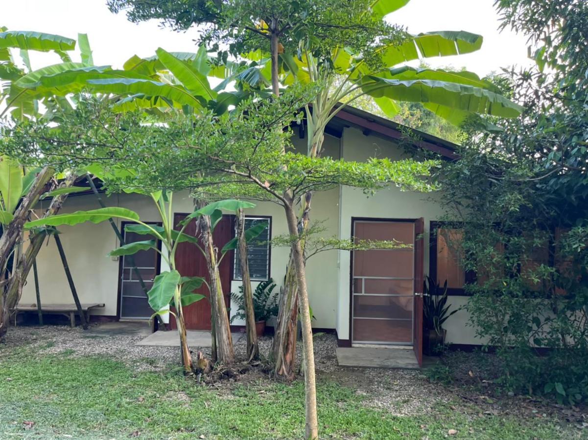 Brown House Chiangdao Hostel Chiang Dao Bagian luar foto